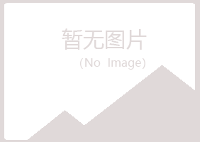 铁岭清河倾城建设有限公司